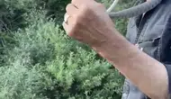Bingöllü gençten tehlikeli yılan şovu