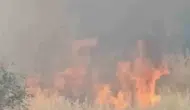 Diyarbakır'da evlere yaklaşan anız yangını korkuttu