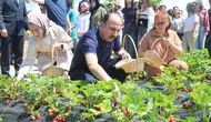 Konya’da çiftçiye yüzde 75 hibe desteği başlıyor