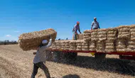 Kırklareli tarlalarında saman balyası mesaisi başladı