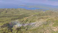 Marmaris ormanlarındaki yıldırım yangını büyümeden söndürüldü