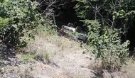Zonguldak yolunda direksiyon hakimiyetini kaybeden sürücü ormana uçtu