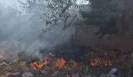 Hatay Hassa’da bahçelik alanda korkutan yangın