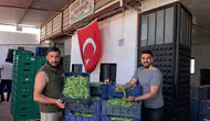 İznik’in meşhur fasulyesi Nazende tezgahlara indi