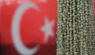 Amasyalı üretici Uganda bamyasına karşı hak arıyor