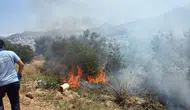 Bodrum Turgutreis’te elektrik telleri makilik alanı tutuşturdu