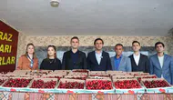 Selendi'de kiraz üreticileri en iyi mahsul için yarıştı