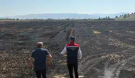 Söke'de yanan tarlalar için hasar tespiti başladı