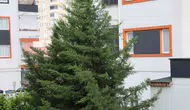 Adana kuzeyinde fırtına çatıları uçurdu ve seraları vurdu