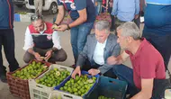 İncir sezonu öncesi Buharkent’te sıkı denetim