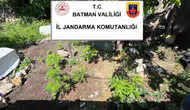 Batman jandarmasından kaçakçılara yönelik geniş çaplı operasyon