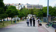 Kocaeli Üniversitesi kampüsünde köpek korkusu devam ediyor