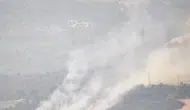 Çanakkale’de bir karga orman yangını başlattı
