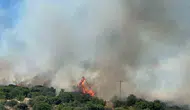 Çanakkale Ezine’de orman yangını başladı