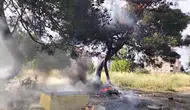 Çorlu'da atılan bir hurda 50 yıllık ağacı yok etti