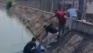 Tarsus’ta sulama kanalında boğulma tehlikesi