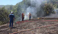 Kumluca’daki yangın meyve bahçelerine zarar verdi