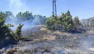 Bingöl ormanlarında çıkan yangın hızlı müdahaleyle söndürüldü