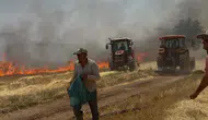 Mardinli çiftçiler tarlayı saran alevleri el birliğiyle söndürdü