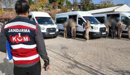 Diyarbakır merkezli dev operasyon 15 milyar liralık suç gelirine el koydu