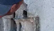Kars’ta usta yeni yaptığı sıvayı kuşlar için kırdı