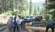 Kahramanmaraş’ta orman yangınlarını önlemek için yol kenarları temizleniyor