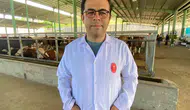 Kene tehlikesi kapıda Kocaeli için kritik uyarılar