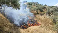 Aydın Yenipazar'da makilik alanda çıkan yangın kontrol altına alındı