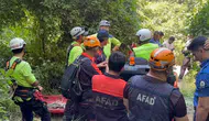 Bursa'da ıhlamur toplamak için evden çıkan yaşlı adam ölü bulundu