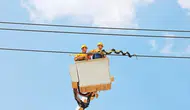 Çin elektrik hatlarını denetlemek için robot yılanları görevlendirdi