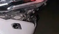 Elazığ’da gece yarısı domuz sürüsüyle çarpışma