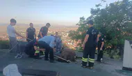 Afyonkarahisar'da çatıya çıkan inek mahsur kaldı
