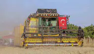 Mardin ovasında buğday bereketi 700 bin tonu aşacak