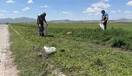 Hacılar’da doğayı koruma çağrısı