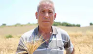 Adana’da unutulan lezzet karakılçık buğdayı toprağa geri döndü