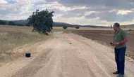 Eskişehir’de hamile ineğini bulmak için dron kaldırdı
