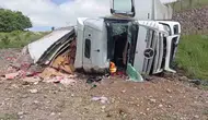 Amasya'da tavuk yüklü tır devrildi