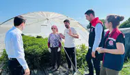 Bozdoğan seralarında verim takibi