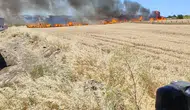 Silivri’de alevler tarlaları sardı