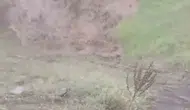 Tokat Artova'da dolu yağışı her yeri kışa çevirdi