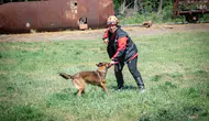 Muğlalı arama kurtarma köpekleri Avrupa sınavını başarıyla geçti