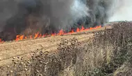 Çorlu’da buğday tarlası yangını paniği