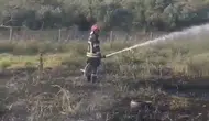 Osmaniye otoyolunda yanan tanker zeytin bahçesini küle çevirdi
