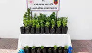 Karaman'da jandarma operasyonlarında 140 kişi yakalandı