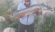 Karabük’teki gölette dev turna balığı yakalandı