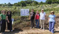 Yalova’da yaban mersini bahçelerinde kalite mesaisi başladı