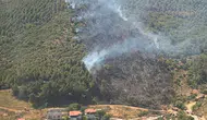 Burhaniye kırsalında orman yangını paniği