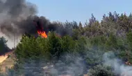 Seydikemer Gölbent bölgesinde orman yangını paniği sürüyor