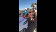 Hatay'da düğün konvoyuna eşekli engel