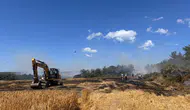 Eceabat’ta çıkan yangın korkuttu